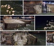 Η κακοκαιρία διέλυσε τα μπλόκια στο λιμάνι της Κω – Γέμισε η θάλασσα με δεκάδες μικρά κομμάτια