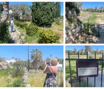 Κλειστή η Aρχαία Aγορά της Κω κάθε Τρίτη, ημέρα υψηλής επισκεψιμότητας λόγω κρουαζιερόπλοιων - Παράπονα από επιχ/τίες και κατοίκους