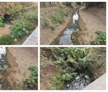 Kαταγγελία για λύματα στον ποταμό από τη δομή μεταναστών στο Πυλί