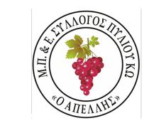 Ευχαριστήρια επιστολή του 5ου Δημ. Σχολείου Κω στον ΑΠΕΛΛΗ για δωρεά εξοπλισμού