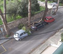 Τεράστιο κλαδί δέντρου έπεσε σε σταθμευμένα οχήματα 