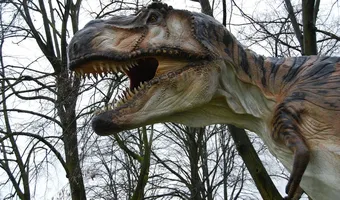 Νέα επιστημονική έρευνα αποκαλύπτει γιατί εξαφανίστηκαν οι δεινόσαυροι 