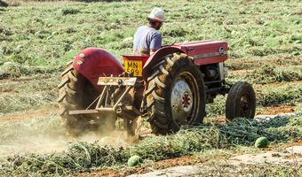 Συναγερμός στη Λακωνία: Εργάτες γης από Ασία και Αφρκή, θετικοί στον ιό - Επιτόπου και ο Τσιόδρας