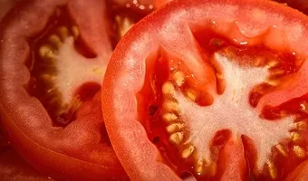 Ντομάτες από Τουρκία με ιό της ηπατίτιδας Α εντοπίσθηκαν στα σύνορα της Ελλάδας