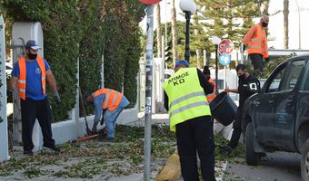 Συνεχίζονται οι κλαδεύσεις από την Υπηρεσία Πρασίνου στο λιμάνι (φωτό)