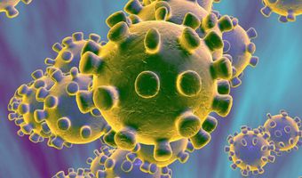 Κοροναϊός: Ανακαλύφθηκε τεστ εξπρές! Βρίσκει τον ιό σε δυο ώρες