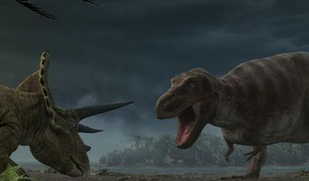 Απίστευτο εύρημα – Απολίθωματα Τυραννόσαυρου Rex και Τρικεράτοπα που σκοτώθηκαν μαζί σε μάχη