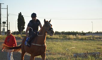 ΔΗΜΙΟΥΡΓΗΘΗΚΕ ΣΤΟ ΜΑΡΜΑΡΙ ΧΩΡΟΣ ΠΡΟΠΟΝΗΣΗΣ ΓΙΑ ΤΑ ΑΛΟΓΑ (φωτο)