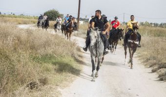 O Γύρος της Κω με άλογα