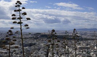 Έρευνα: Ο αντίκτυπος του κορονοϊού στα φοιτητικά ενοίκια – Που θα κινηθούν φέτος    