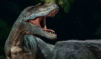 Περίπου 2,5 δισεκ. τυραννόσαυροι ήταν στη Γη την εποχή των δεινοσαύρων