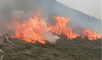 Μεγάλη φωτιά ξέσπασε στην Άνδρο - Εκκενώθηκαν δύο οικισμοί