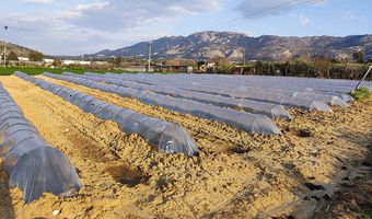 Μέσω πλατφόρμας η επιδότηση 60 εκ. ευρώ σε κτηνοτρόφους για την αγορά λιπασμάτων