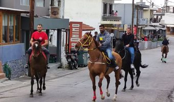 Ξεκίνησαν οι δοκιμαστικές παρελάσεις των αλόγων στο Πυλί