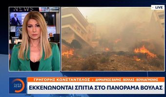  Χ. Στυλιανίδης: Κατορθώσαμε να περιοριστεί μια δύσκολη πυρκαγιά – Το καλοκαίρι θα είναι σκληρό 