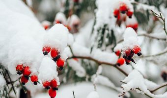 Σάκης Αρναούτογλου: Αλλάζει ο καιρός - Έρχονται κρύο και χιόνια