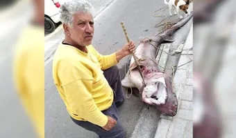 Ερασιτέχνης ψαράς στα Χανιά έπιασε καρχαρία 200 κιλά