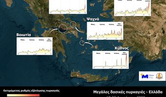 Ασύλληπτη καταστροφή από τις φωτιές σε Εβρο - Ροδόπη: Πάνω από 400 χιλ. στρέμματα κάηκαν μέσα σε τρεις μέρες