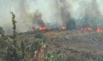 Πολύ υψηλός κίνδυνος πυρκαγιάς σήμερα Σάββατο 8/7 στην Κω