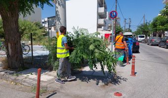 Ξεκίνησαν δουλειά οι εποχικοί υπάλληλοι στο Δήμο Κω