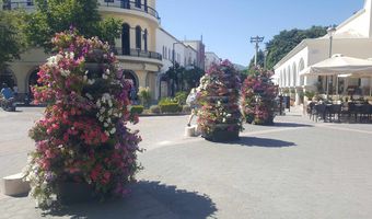 Επανεμφανίστηκαν οι ανθοστήλες - Τοποθετήθηκαν στην Πλ. Ελευθερίας & στην Πλ. Κονίτσης