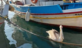 Ν. Μυλωνάς στον σπουδαίο επισκέπτη μας: ‘’Φίλε Πέτρο!  Μείνε στην Κω’’!