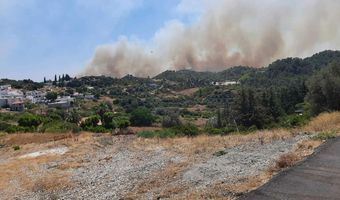 Εκπρόσωπος Πυροσβεστικής: Δεν έχει γίνει καμία σύλληψη ή προσαγωγή για τη φωτιά στη Ρόδο