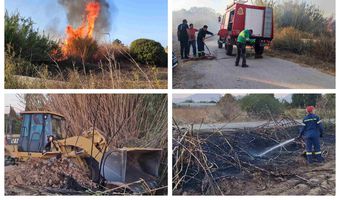 Φωτιά στο Πυλί - Άμεση επέμβαση Πυροσβεστικής, εθελοντών και Πολιτικής Προστασίας