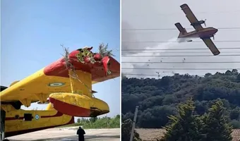 Φωτιά στην Ναύπακτο: Παραλίγο τραγωδία, canadair χτύπησε κορυφή δέντρου (video)