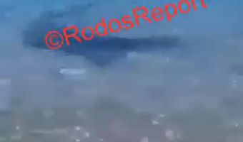 Ρόδος: Απίστευτο βίντεο με καρχαρία να "σουλατσάρει" στο ένα μέτρο από τη στεριά 