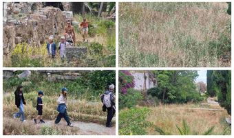 "Εντυπωσιασμένοι" οι τουρίστες από την εικόνα των αρχαιολογικών χώρων στην Κω