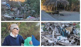 Παράπονα της κ. Μ. Νικολοπούλου για την κατάσταση στην περιοχή της παραλίας στη Λάμπη και τα αδέσποτα