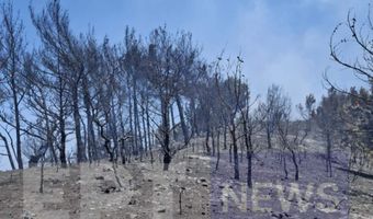 Χίος: Με 90 πυροσβέστες ενισχύονται οι δυνάμεις πυρόσβεσης – Σε κατάσταση έκτακτης ανάγκης το νησί