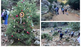Πεζοπορική Ομάδα Κω: Πεζοπορία και στόλισμα Χριστουγεννιάτικου δέντρου