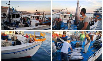 Εντυπωσιακή ψαριά από το Καλύμνικο αλιευτικό “ΚΑΠΕΤΑΝ ΕΥΘΥΜΙΟΣ”- Τεράστιοι τόνοι στο κατάστρωμα 