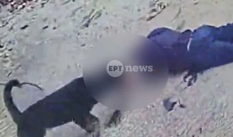 Μάχη για τη ζωή του δίνει 76χρονος από την Καλαμάτα που του επιτέθηκε το ροτβάιλέρ του