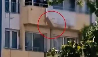 ΟΠΕΚΕΠΕ: Πέταγαν από το μπαλκόνι κούτες με έγγραφα από την αποθήκη στη Θεσσαλονίκη (βίντεο)