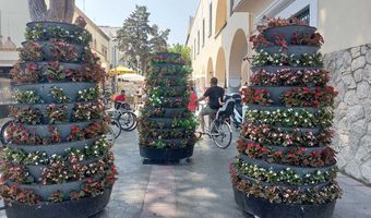 Αναγνώστης: Γιατί πρέπει να ερημώσει τελείως η Βασιλέως Παύλου;