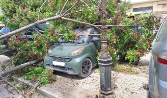 Πτώση δέντρου πάνω σε αυτοκίνητο οδό Πατάκου στην Κω