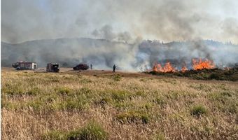 Φωτιά στο Ψαλίδι - Άμεση επέμβαση πυροσβεστικής και πολιτικής προστασίας Δήμου Κω