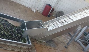 Το Σάββατο 1 Νοεμβρίου ανοίγουν τα ελαιοτριβεία στα Δωδεκάνησα