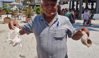 Παρών και φέτος στις παραλίες του Μαστιχαρίου ο κ. Σ. Ξυλουράς με τα υπέροχα σφουγγάρια του 