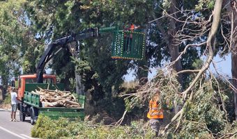 Προσωρινή διακοπή κυκλοφορίας στην Επαρχιακή Οδό Κω–Κεφάλου (Πόρτες), για εργασίες καθαρισμού και κλαδέματος