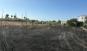 O κ. Θ. Καραθωμάς (Πολιτική Προστασία Κω) μιλάει για την χθεσινή φωτιά στο Πυλί