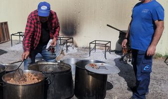 Το έθιμο για τα "χοιροσφάγια" που αναβίωσε ο "Απελλής" στο Πυλί (γράφει η Ξανθίππη Αγρέλλη)