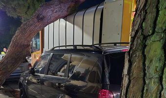 Πτώση δέντρου σε απορριμματοφόρο στην οδό Αρτεμησίας στην Κω