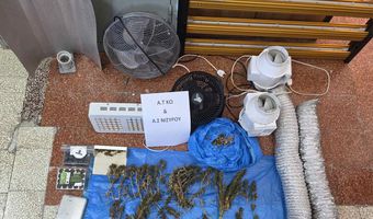 Συνελήφθη ημεδαπός στη Νίσυρο για καλλιέργεια εσωτερικού τύπου κάνναβης 