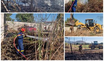 Φωτιά ξέσπασε σε περιοχή στο Τιγκάκι - Μεγάλη κινητοποίηση