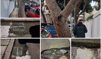 Ανησυχία πολιτών για επικίνδυνη κλίση δέντρου και καθίζηση οδοστρώματος στην οδό Ελ. Βενιζέλου