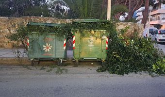 Αναγνώστρια: Κλάδεψε τα δέντρα του και έριξε τα κλαδιά στους κάδους